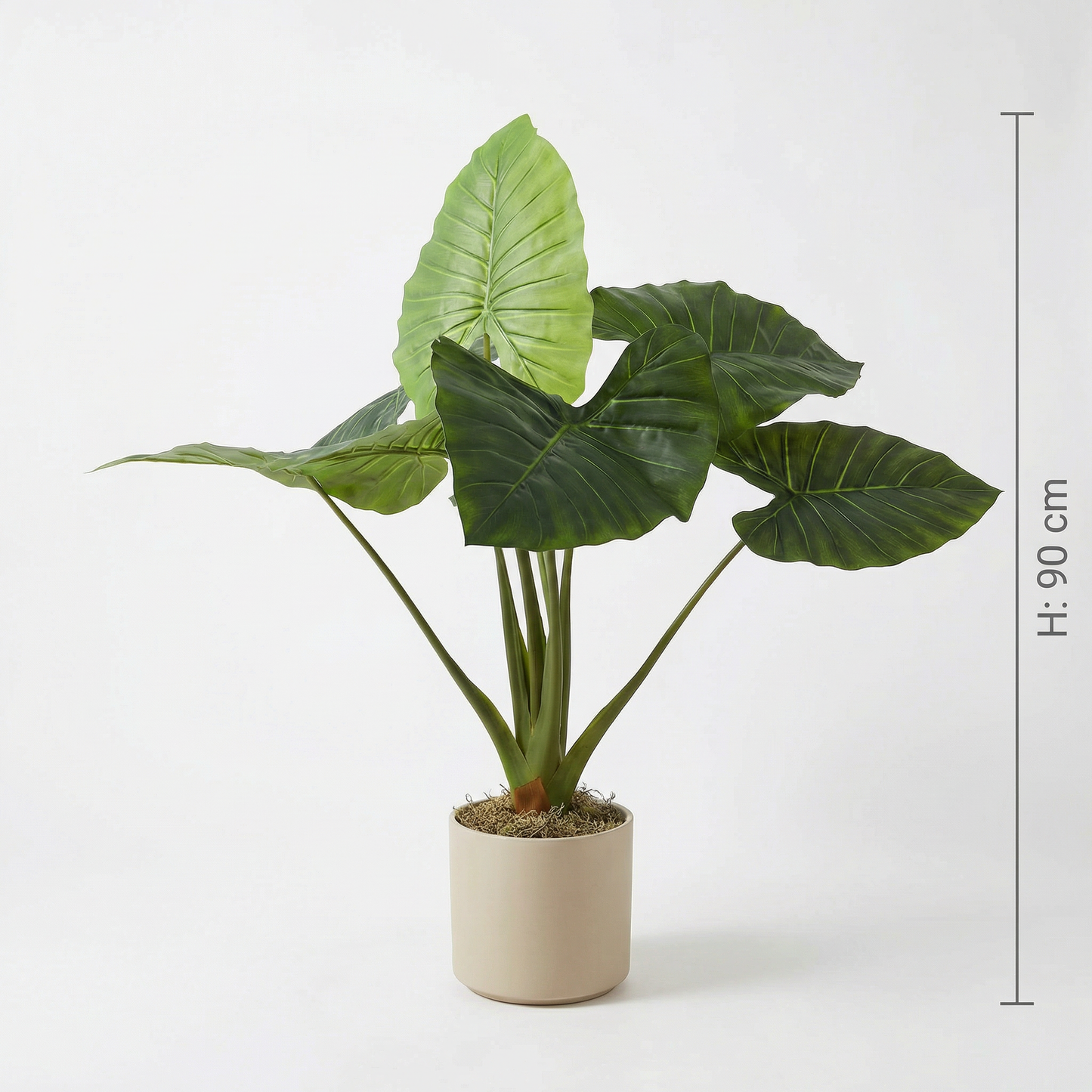Künstliche Alocasia 90 cm