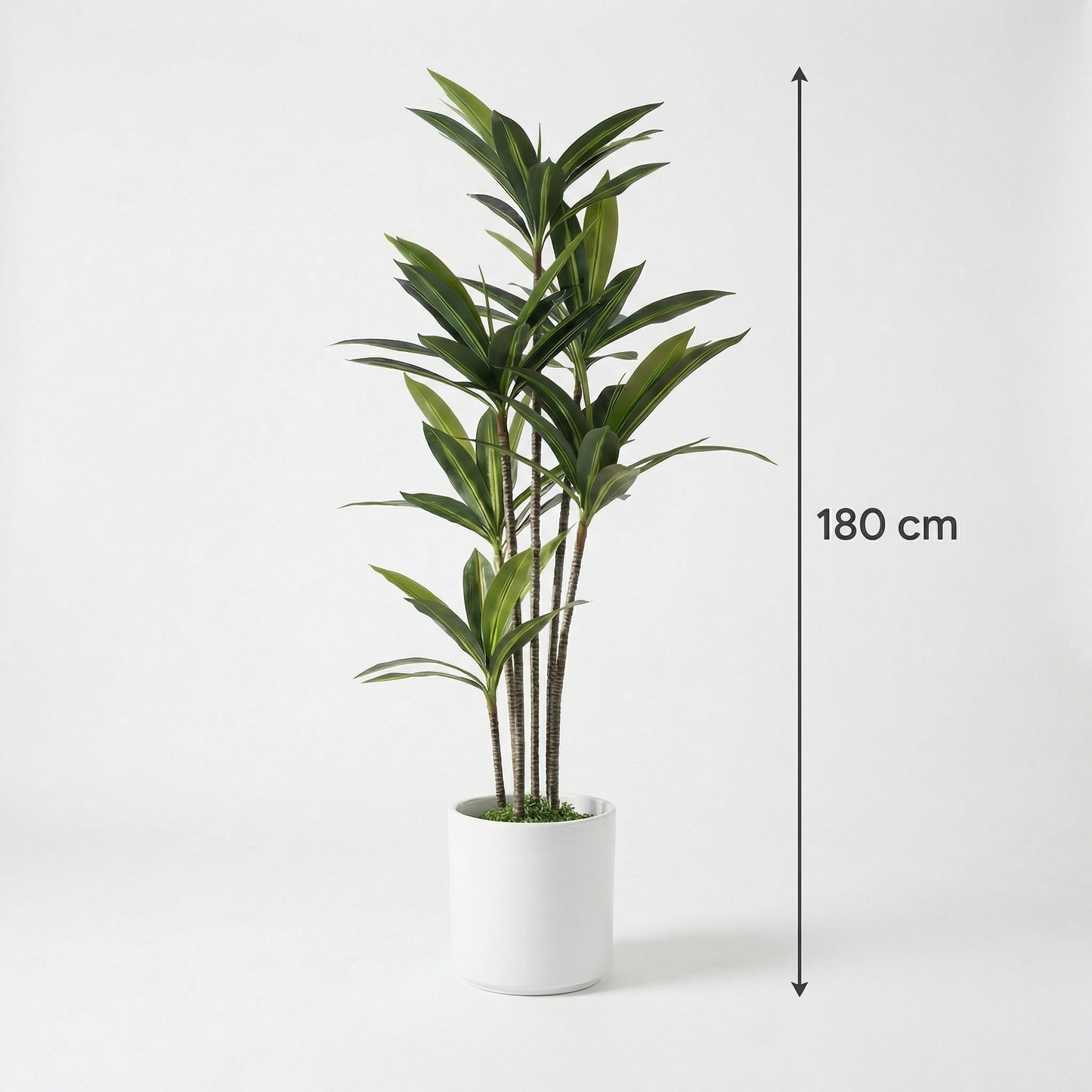 Künstliche Yucca Dracaena 180 cm