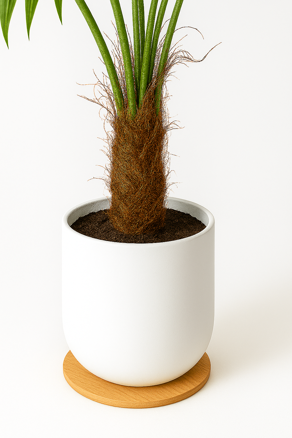 TropenTraum™ –140 cm künstliche Palme