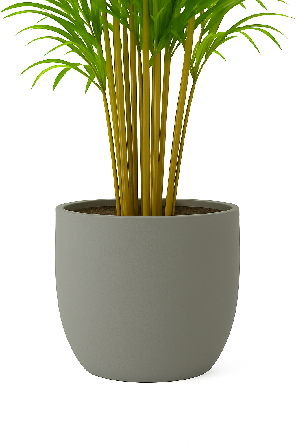 Ostgarten™ - Bambuspflanze