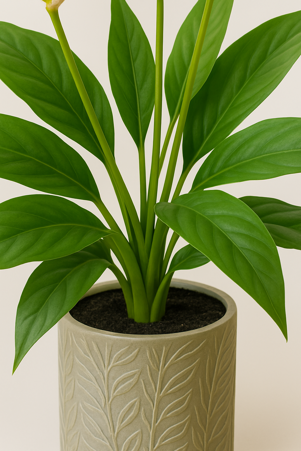 Tropentraum™- Künstliche Anthurium-Topfpflanze