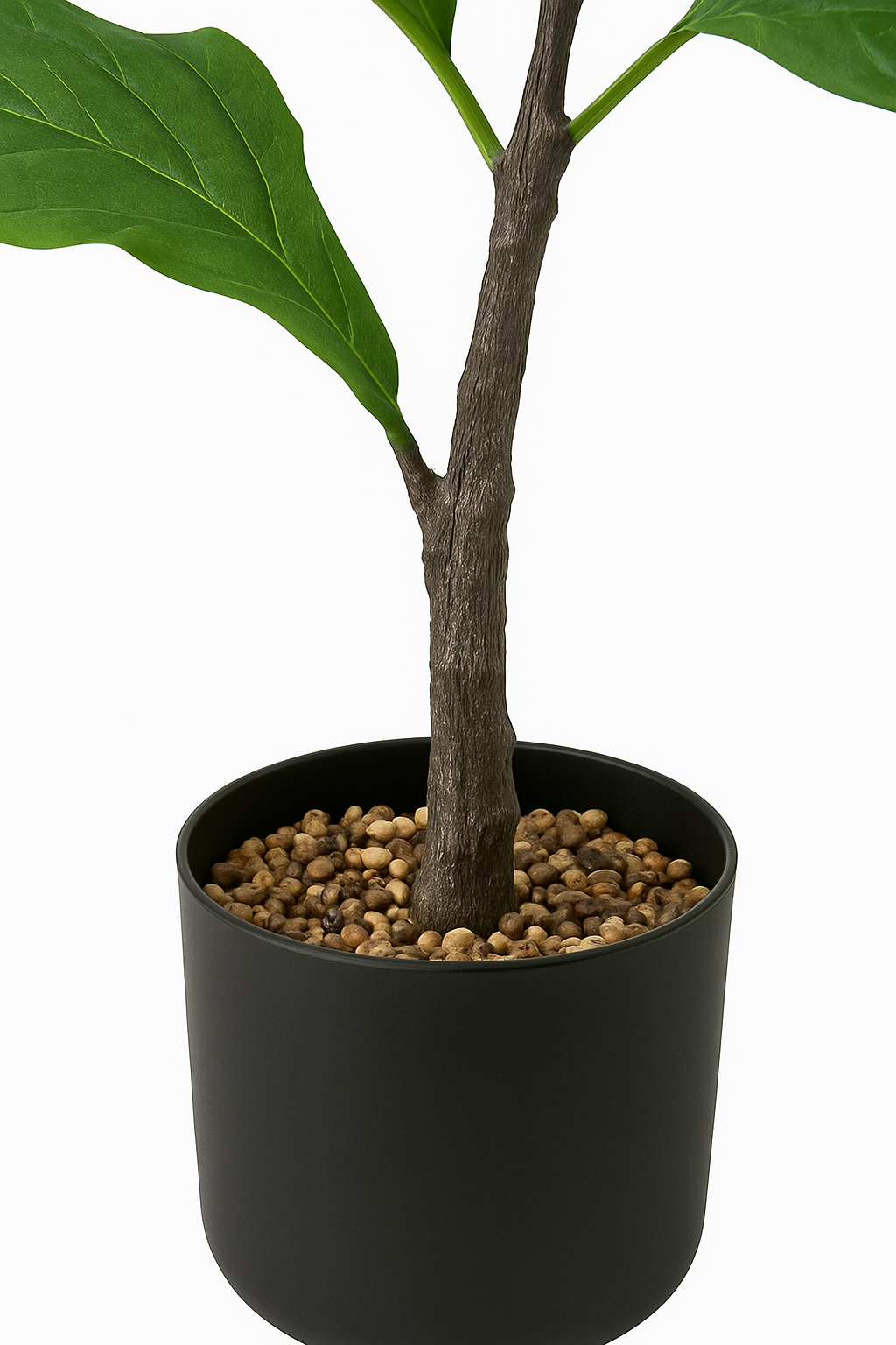 TropenTraum™- Grünpflanze Qinye Banyan Baum Bonsai Dekoration