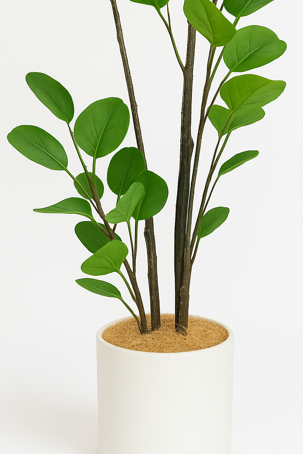 Ostgarten™- Künstlicher Geldbaum