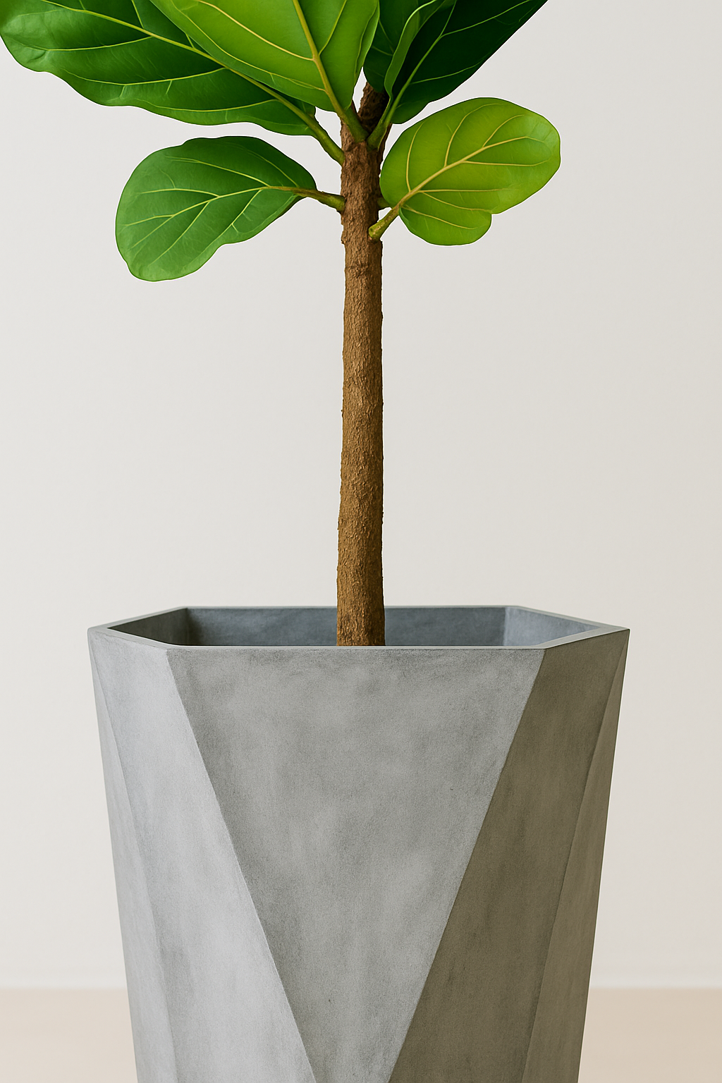 TropenTraum™- Künstliche Geigenbogen-Feigenbäume