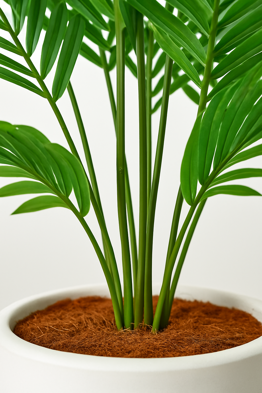 TropenTraum™- Künstlicher Palmenbaum