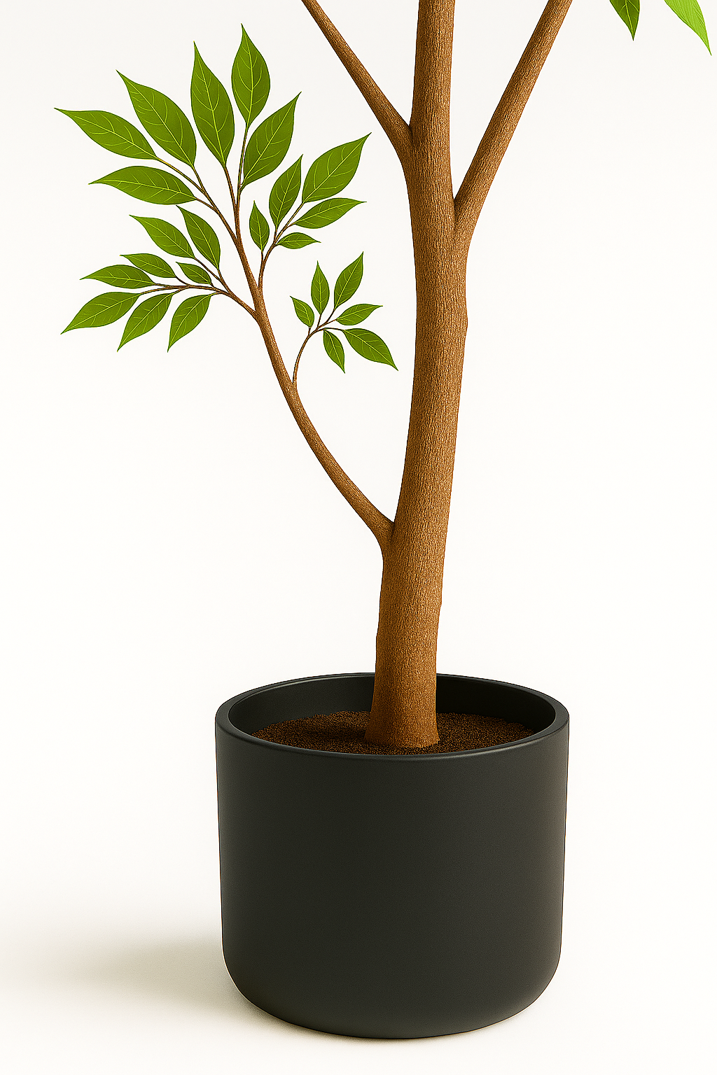 Ostgarten™ - Himmelsbambus