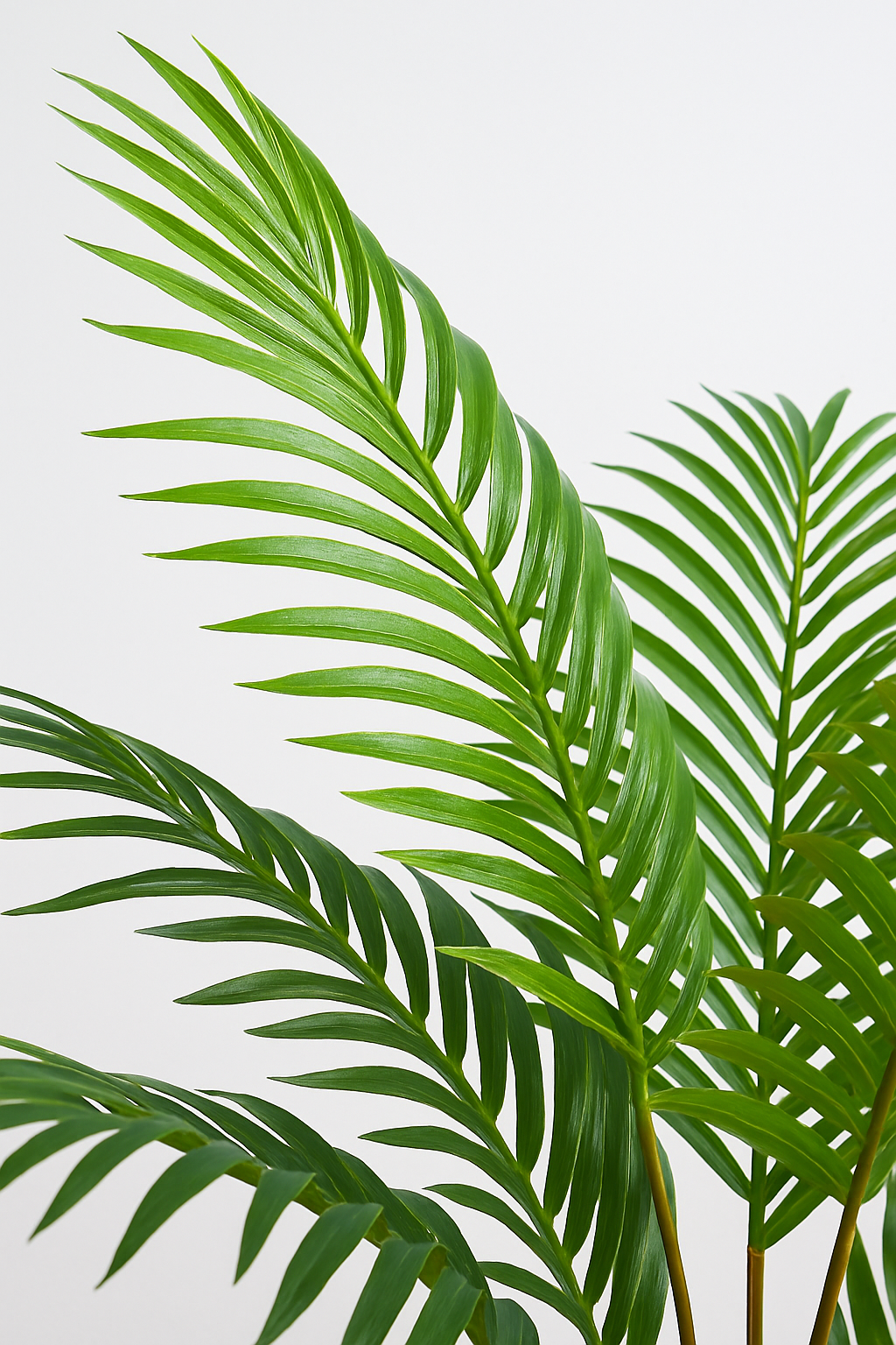 TropenTraum™- Künstlicher Palmenbaum