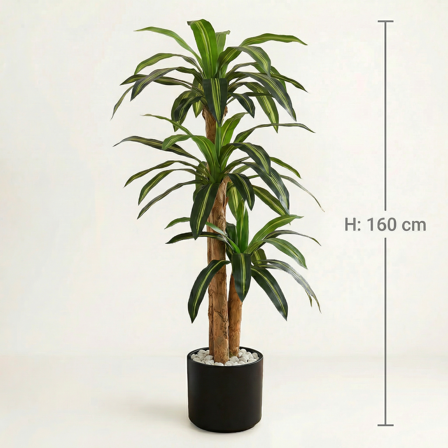 Künstliche Dracaena Massangeana 160 cm