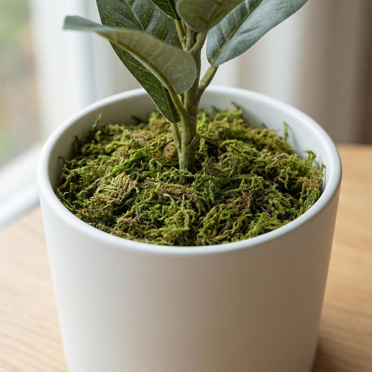 Dekomoos Graugrün für Pflanztöpfe