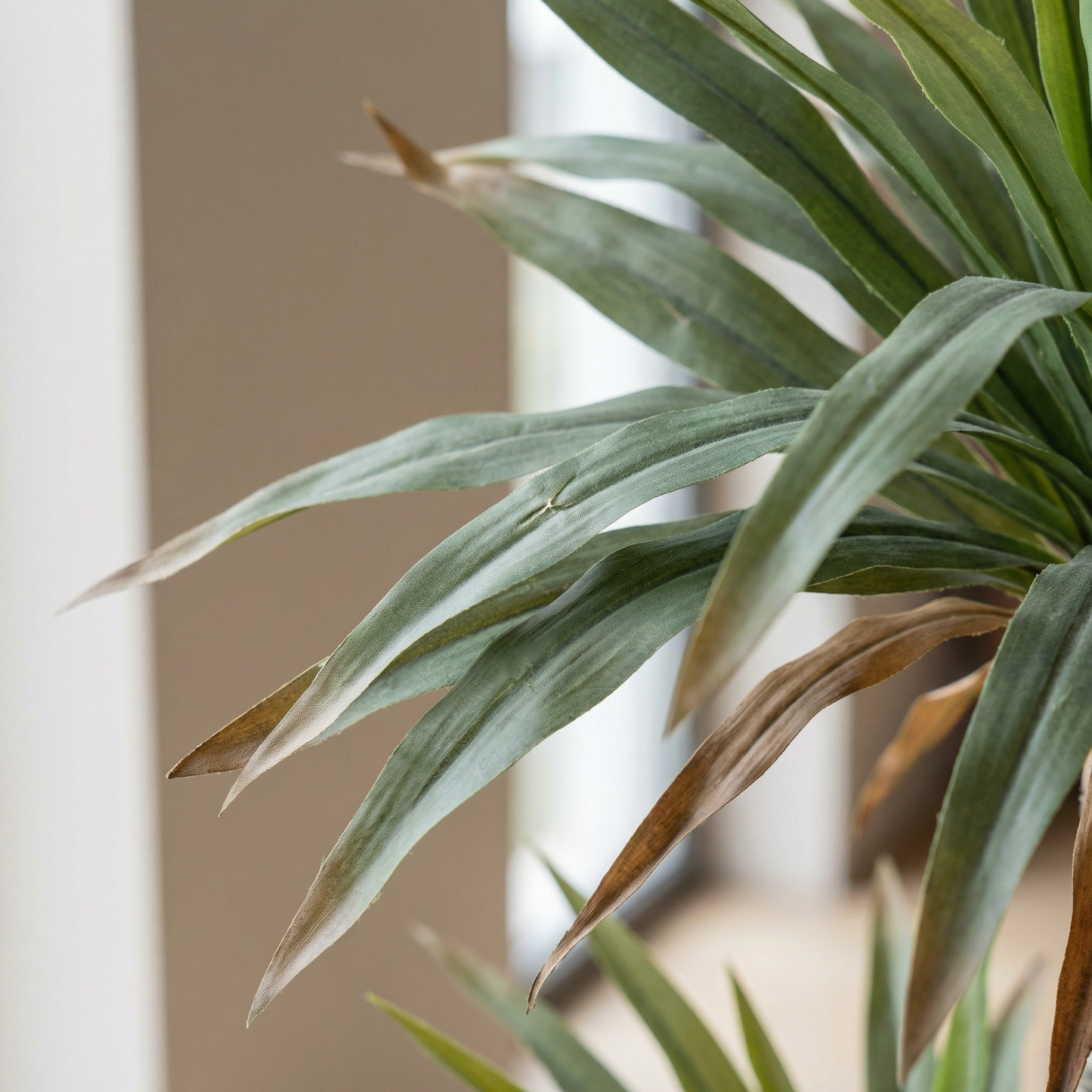 Künstliche Dracaena Marginata 160–230 cm