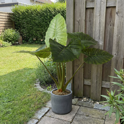 Künstliche Alocasia 90 cm