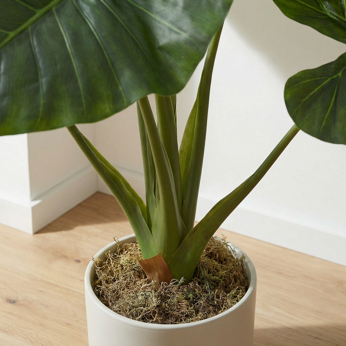 Künstliche Alocasia 90 cm