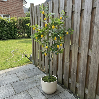 Künstlicher Zitronenbaum 150–180 cm