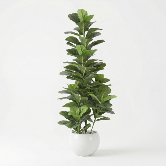 Künstliche Stiele Ficus lyrata 120–170 cm