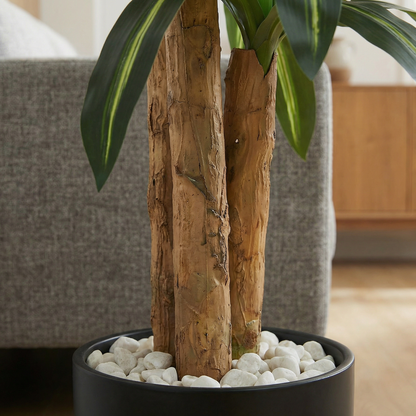 Künstliche Dracaena Massangeana 160 cm