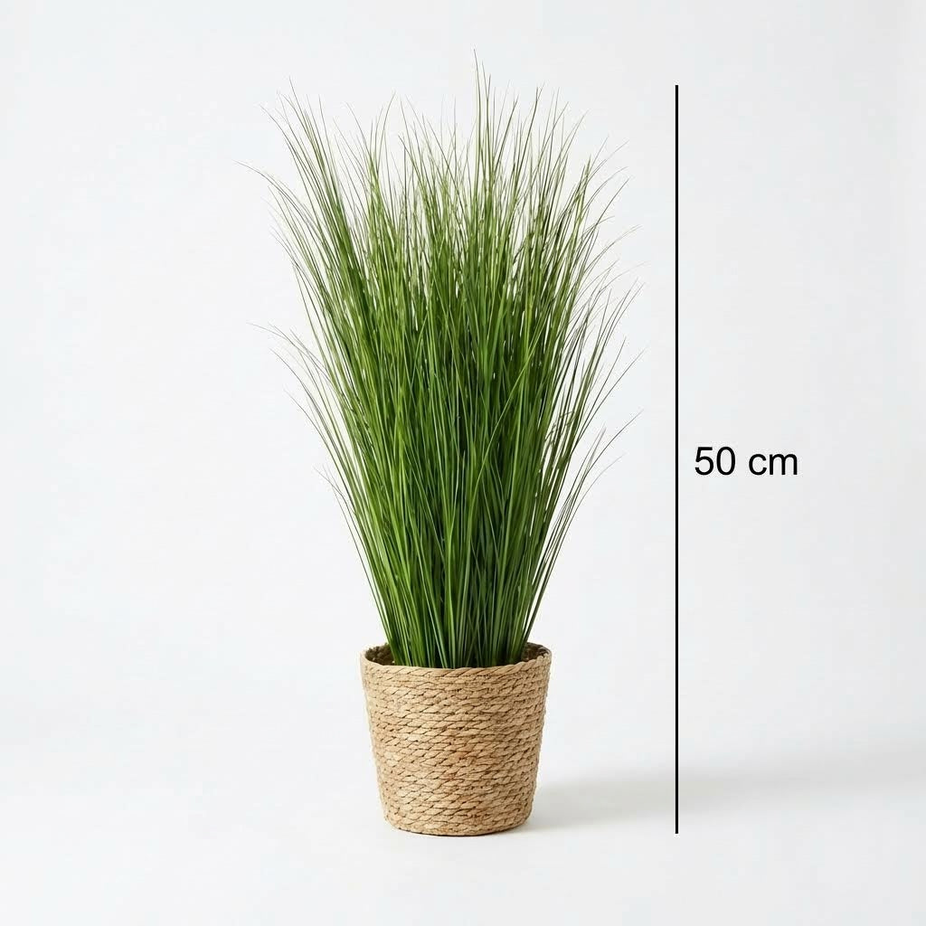 Künstliche Stiele Schilfgras 50 cm (10 Stück)