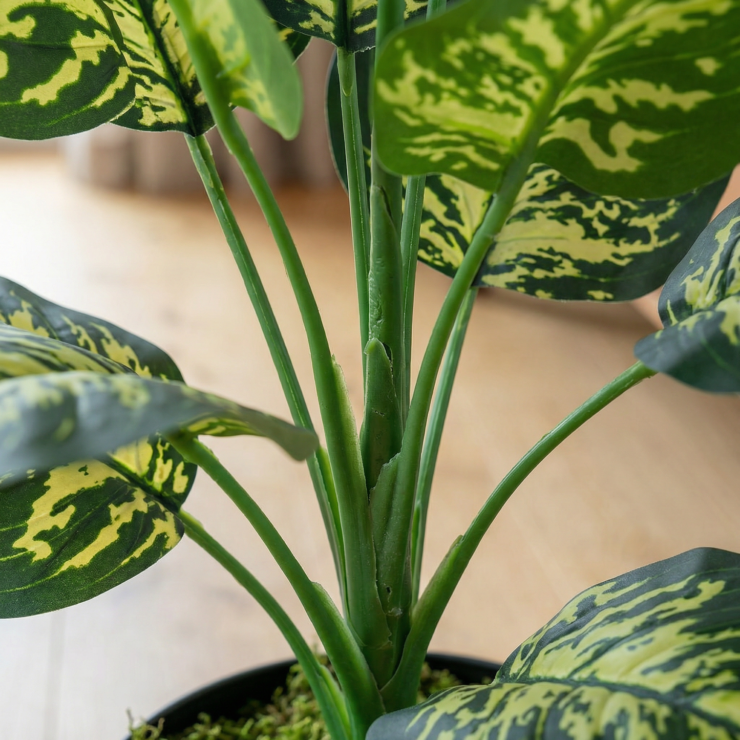 Künstliche Stiele Dieffenbachia Grün-Gelb 45 cm