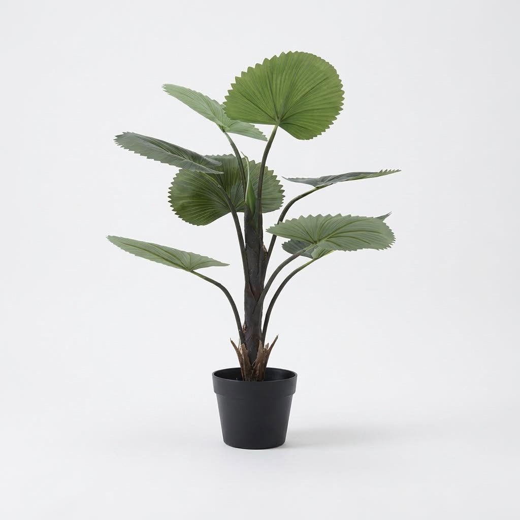 Künstliche Fächerpalme 75 cm