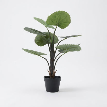 Künstliche Fächerpalme 75 cm