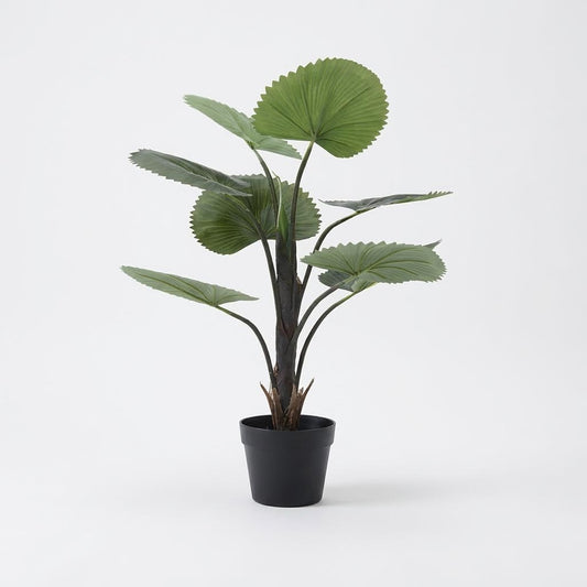 Künstliche Fächerpalme 75 cm