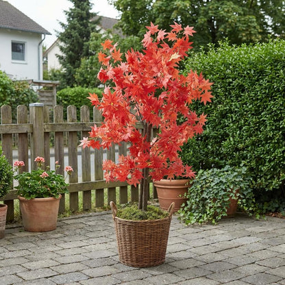 Künstlicher Japanischer Ahornbaum Rot 120 cm