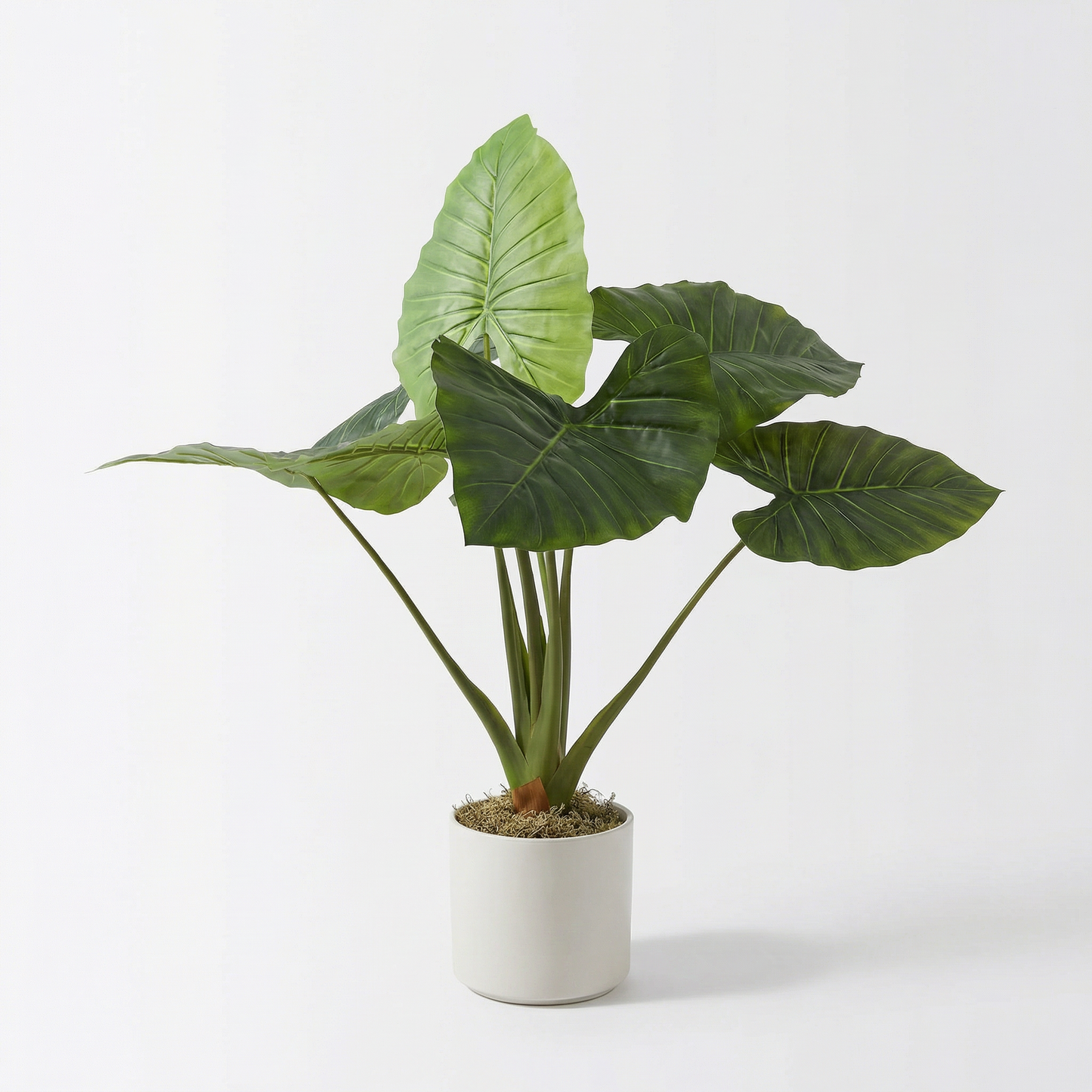Künstliche Alocasia 90 cm