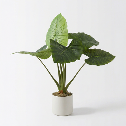 Künstliche Alocasia 90 cm