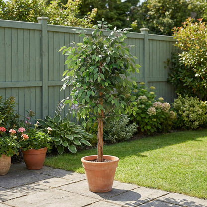 Künstlicher Ficus Nitida 180 cm