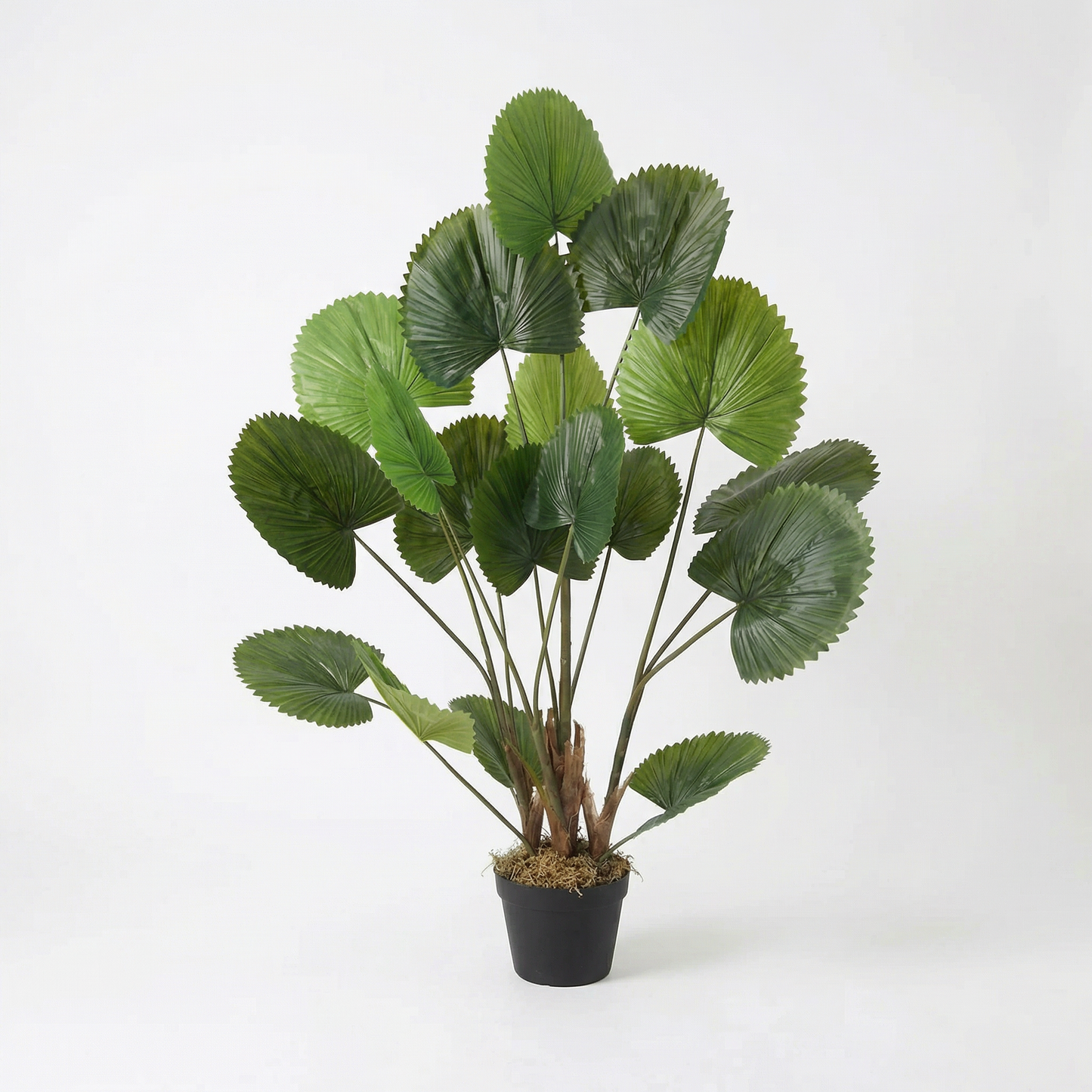 Künstliche Fächerpalme 120 cm