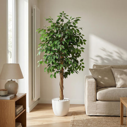 Künstlicher Ficus Nitida 180 cm