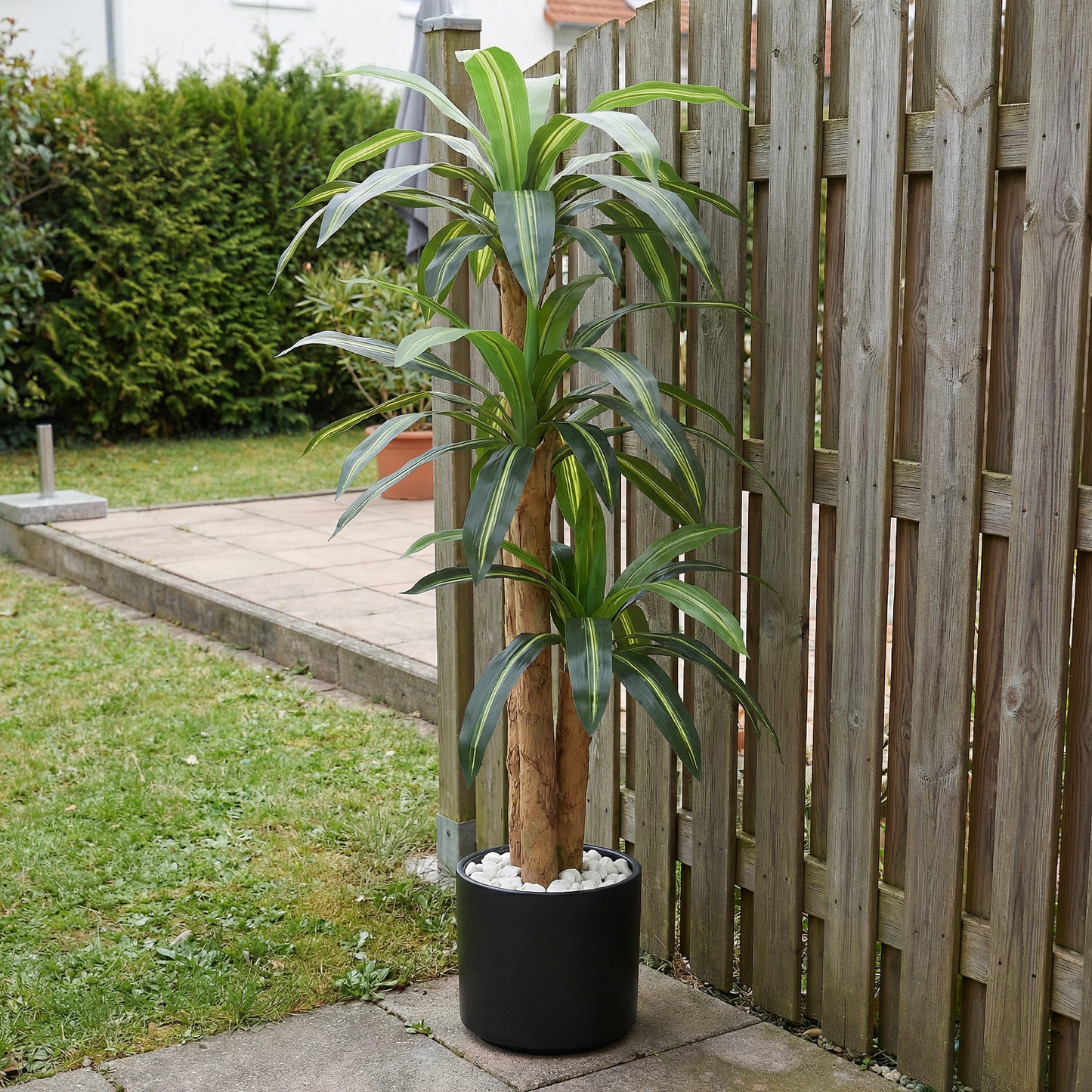 Künstliche Dracaena Massangeana 160 cm