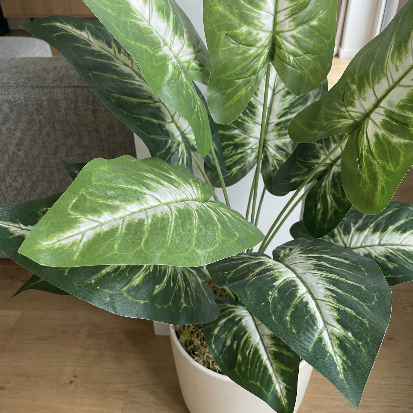 Künstliche Stiele Dieffenbachia Grün-Weiß 45 cm