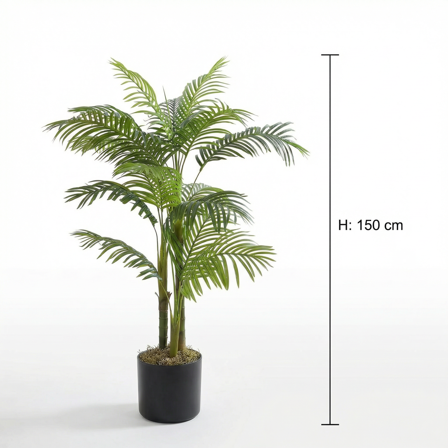 Künstliche Phoenix-Palme Frisch 150 cm