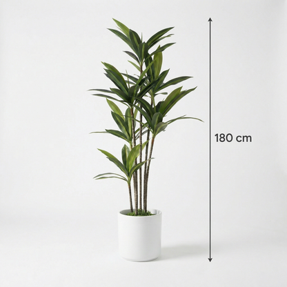Künstliche Yucca Dracaena 180 cm