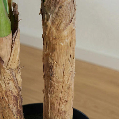 Künstliche Bananenpflanzen 120 cm (2er-Set)