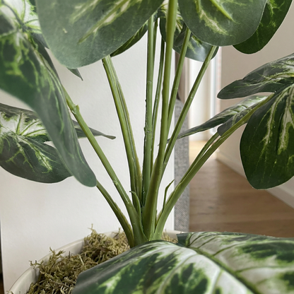 Künstliche Stiele Dieffenbachia Grün-Weiß 45 cm