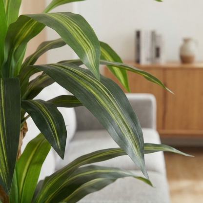 Künstliche Dracaena Massangeana 160 cm