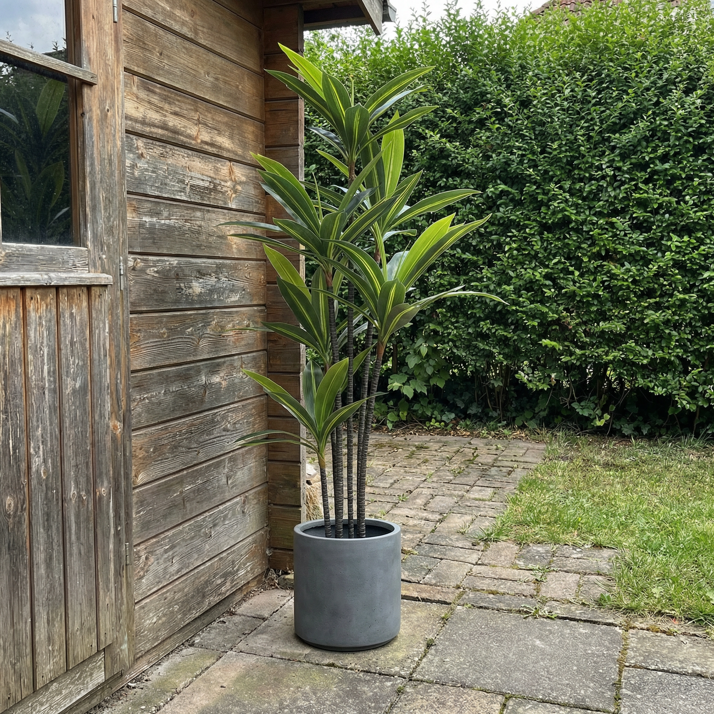 Künstliche Yucca Dracaena 180 cm