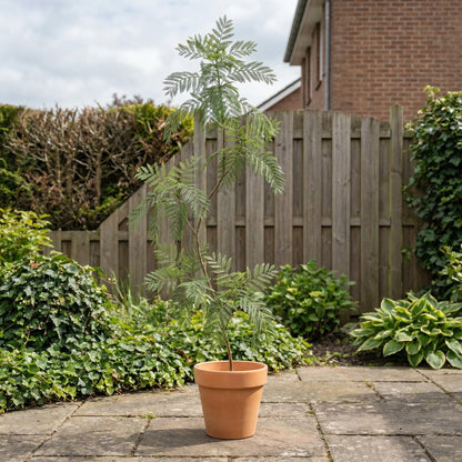 Kunstmatige Jacaranda 170–200 cm