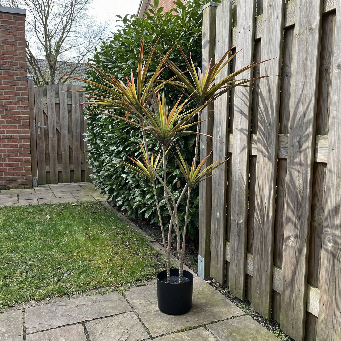 Künstliche Stiele Dracaena Marginata 120 cm