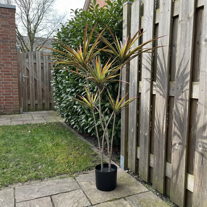 Künstliche Stiele Dracaena Marginata 120 cm