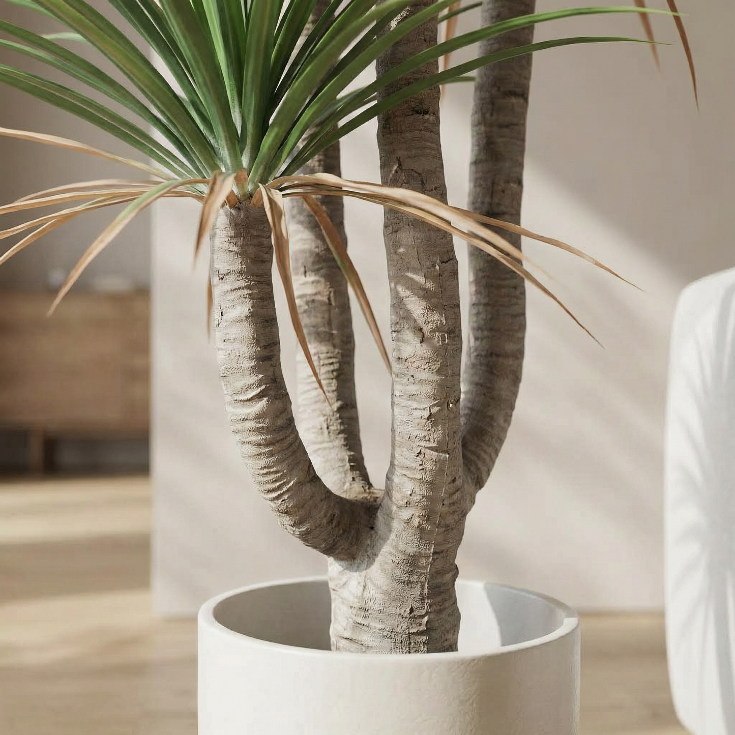 Künstliche Dracaena Marginata 160–230 cm