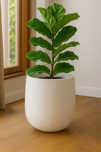 Minimalistischer runder Blumentopf aus Kunstharz