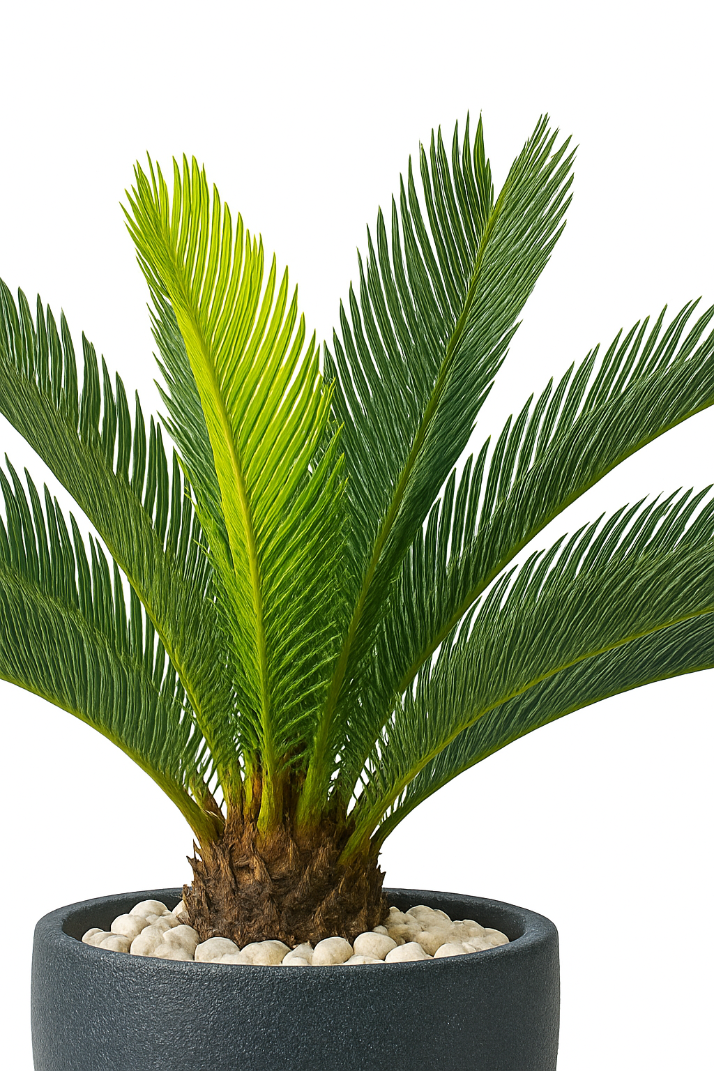 Ostgarten™- Künstliche Cycas-Pflanze