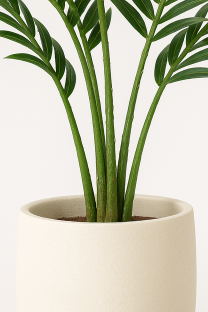 TropenTraum™-Künstliche Palme (120cm)