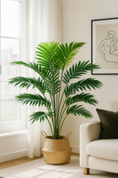 TropenTraum™- Laubbaum