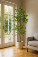 Ostgarten™- Nandina-Baum( 140cm)