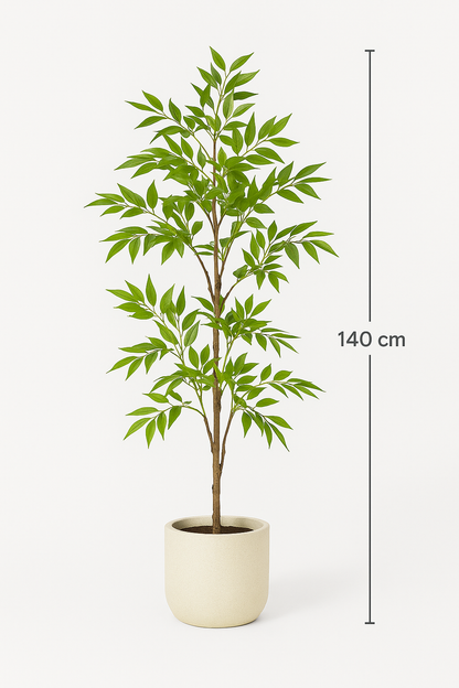 Ostgarten™- Nandina-Baum( 140cm)