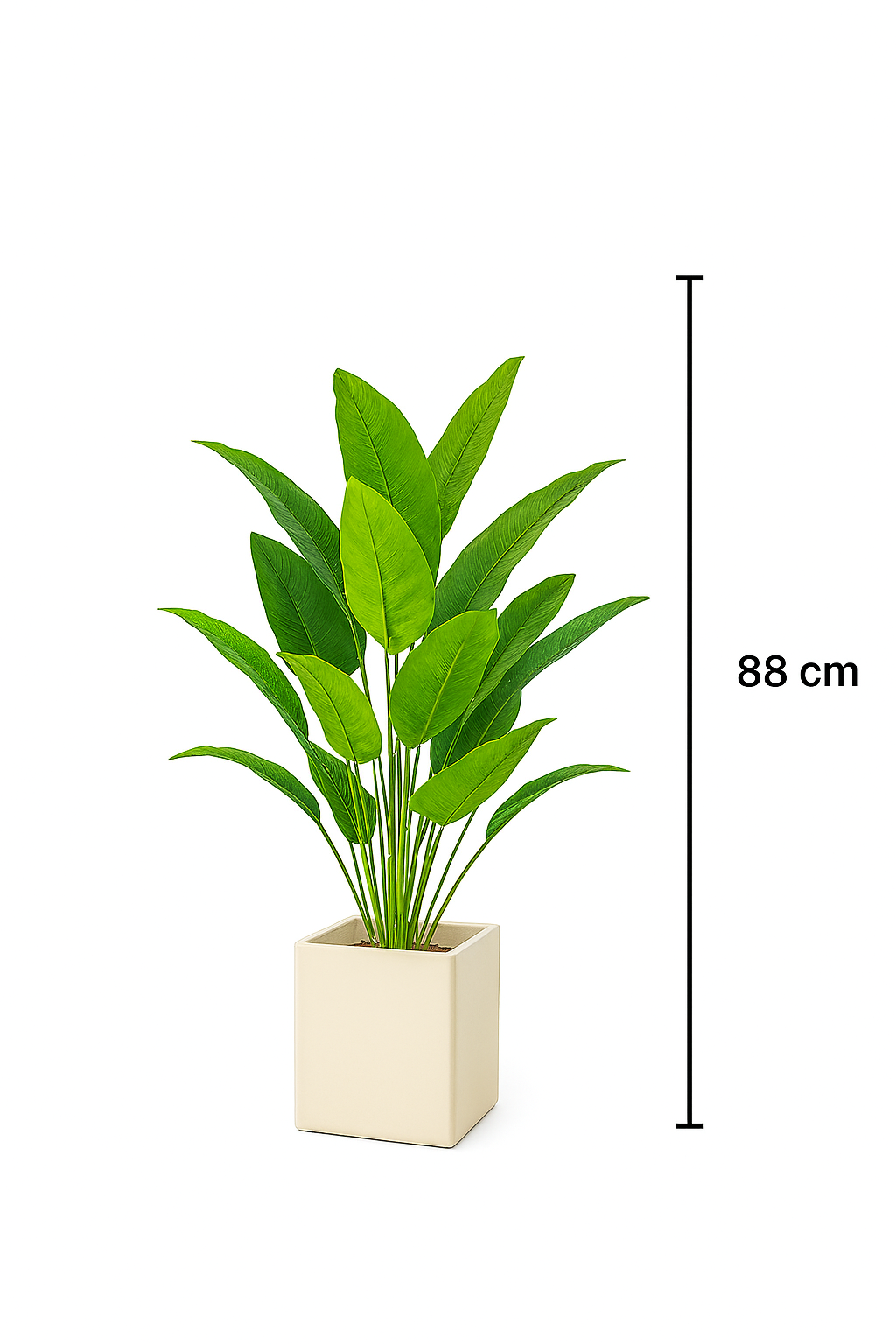 TropenTraum™- Tropische Palme (18 Blätter)