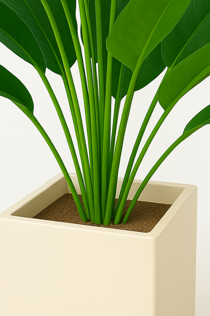 TropenTraum™- Tropische Palme (18 Blätter)